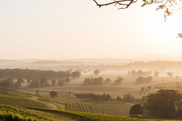 Electrical Contractors Hunter Valley